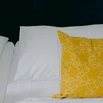 Salamander Mlynky
