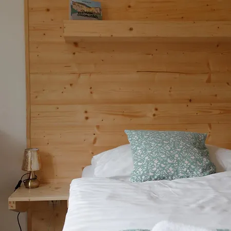 Salamander Pensión 2*