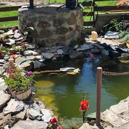 Salamander 2* Mlynky