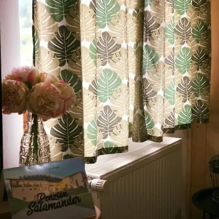 בית הארחה Salamander Mlynky